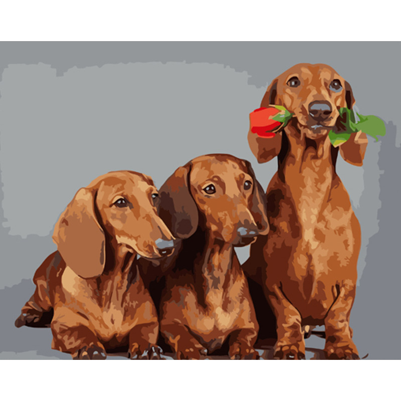 Paint by numbers Strateg PREMIUM Three dachshunds size 40x50 cm (GS924)