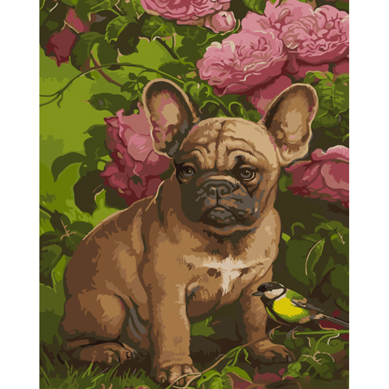 Paint by numbers Strateg PREMIUM French bulldog size 40x50 cm (GS996)