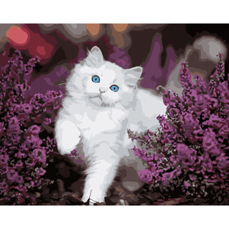 Malen nach Zahlen Strateg PREMIUM Katze mit blauen Augen Größe 40x50 cm (GS1009)