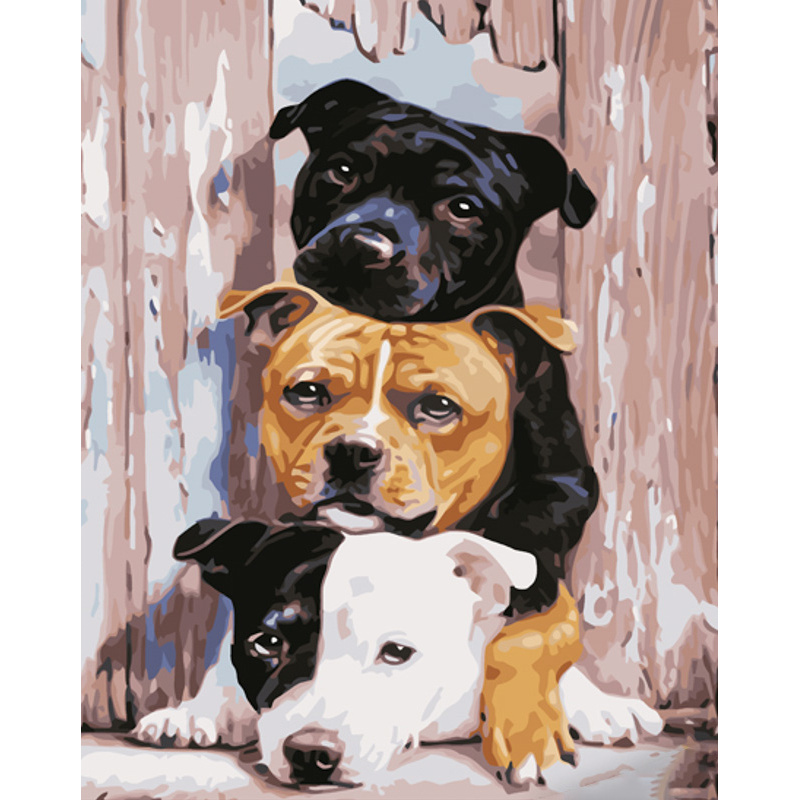 Paint by numbers Strateg PREMIUM A trio of pit bull size 40x50 cm (GS1013)