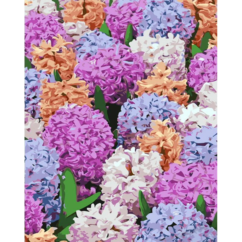 Paint by numbers Strateg PREMIUM Multicolored hyacinths size 40x50 cm (GS1062)