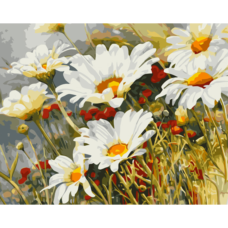 Paint by number Strateg PREMIUM Daisies in the field size 40x50 cm (GS1149)