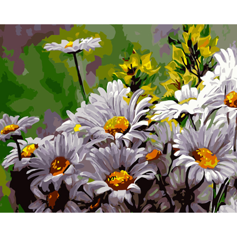 Paint by number Strateg PREMIUM Chamomile size 40x50 cm (GS1158)