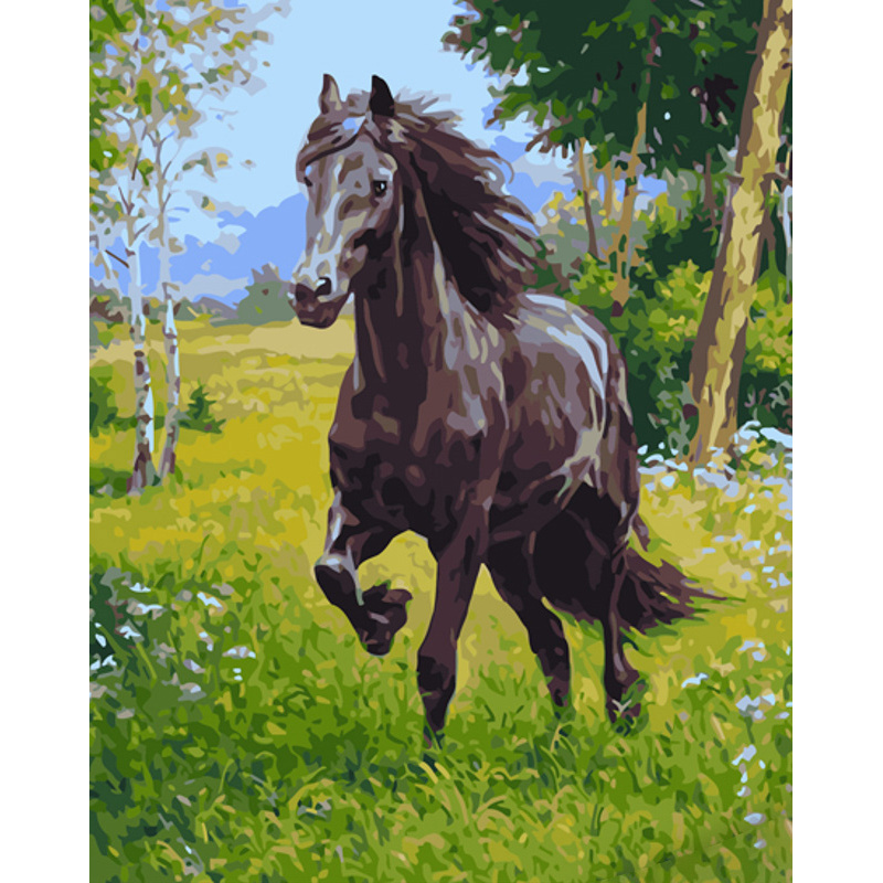 Paint by number Strateg PREMIUM black horse  size 40x50 cm (GS1163)