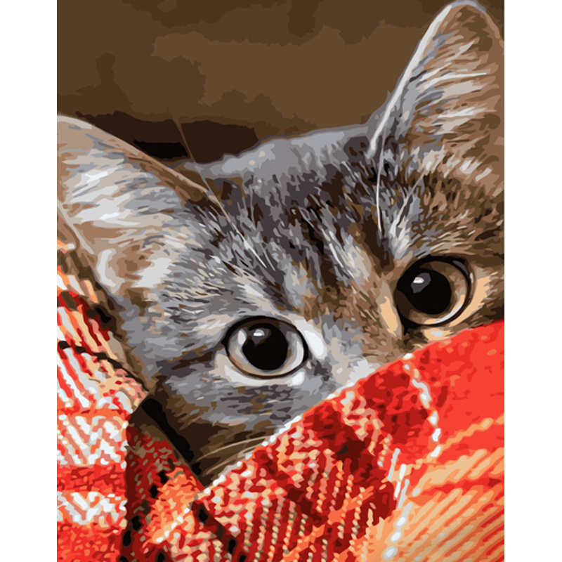 Картина по номерам Strateg ПРЕМИУМ Котик под одеялом размером 40х50 см (GS1208)
