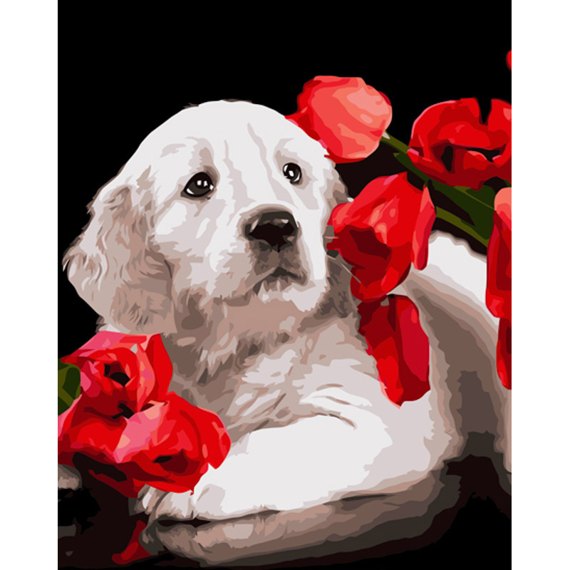 Paint by number Strateg PREMIUM A dog in poppies size 40x50 cm (GS1213)