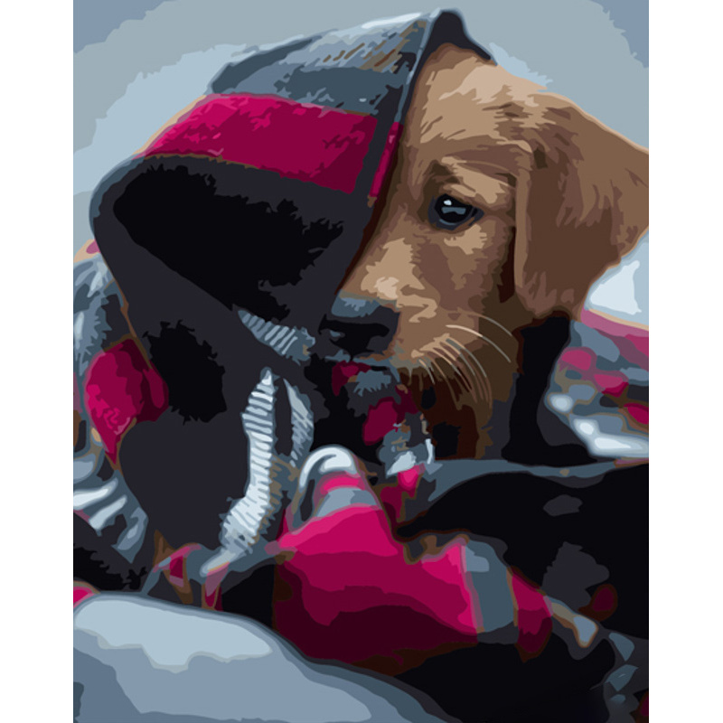 Paint by numbers Strateg PREMIUM A dog under a blanket size 40x50 cm (GS1296)