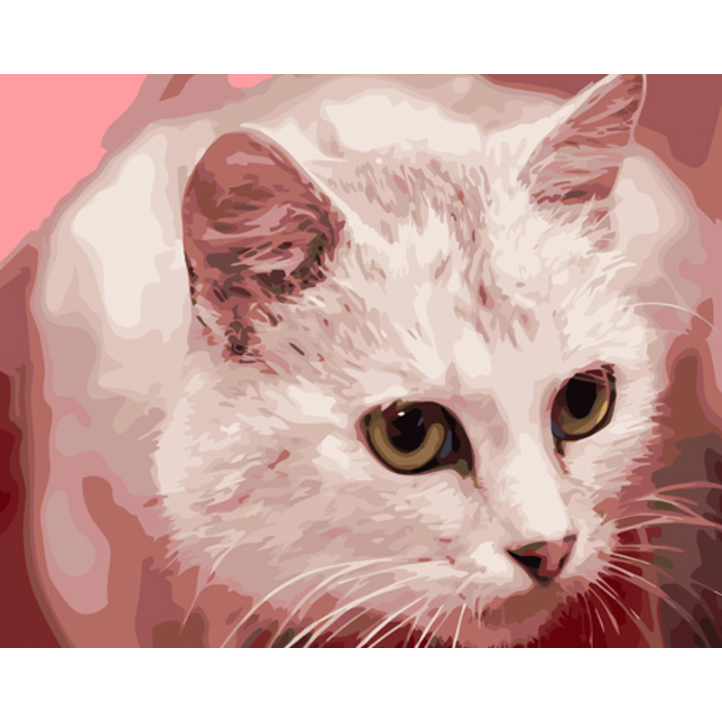 Картина за номерами Strateg ПРЕМІУМ Жовтоокий кіт з лаком розміром 40х50 см (GS1325)