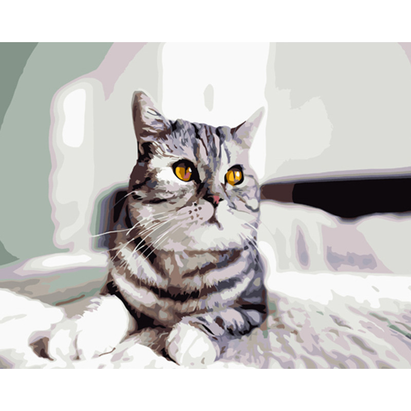 Картина за номерами Strateg ПРЕМІУМ Грайливий сірий кіт з лаком розміром 40х50 см (GS1335)