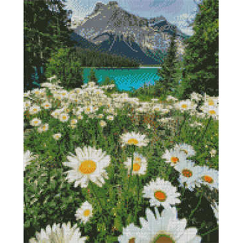Алмазна картина Strateg ПРЕМІУМ Ромашки у горах 