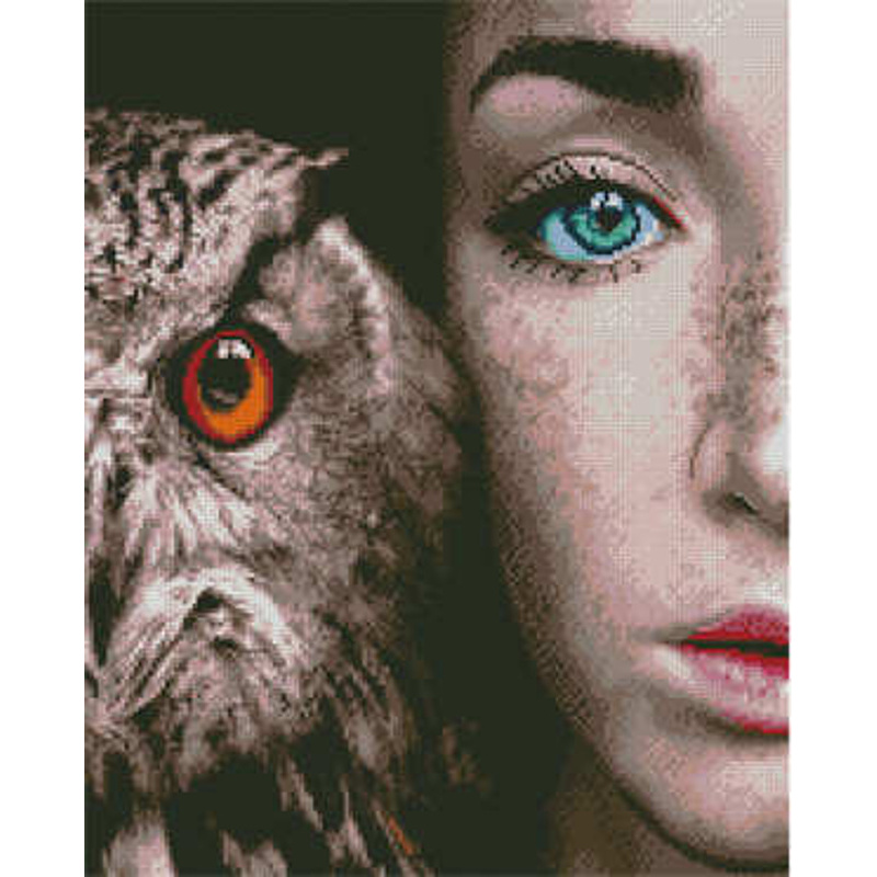 Алмазна картина Strateg ПРЕМІУМ Дівчина із совою 