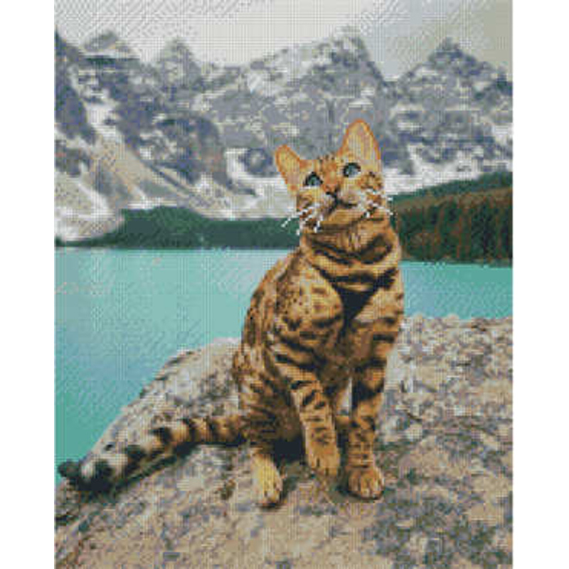 Алмазна картина Strateg ПРЕМІУМ Котик в горах 