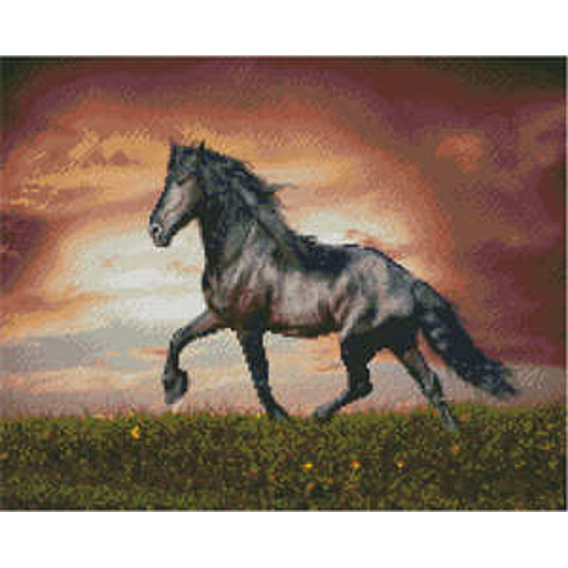 Алмазна картина Strateg ПРЕМІУМ Чорний скакун 