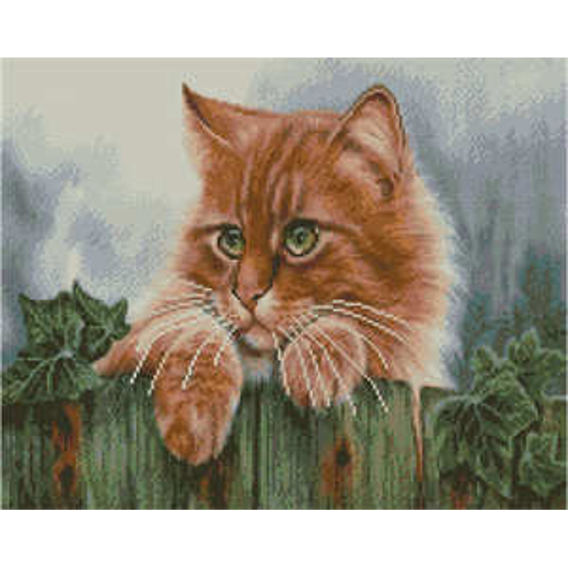 Алмазна картина Strateg ПРЕМІУМ Котик-спостерігач 