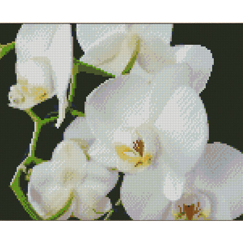 Diamantmosaik Strateg PREMIUM Weiße Orchideen Größe 30x40 cm (KB011)