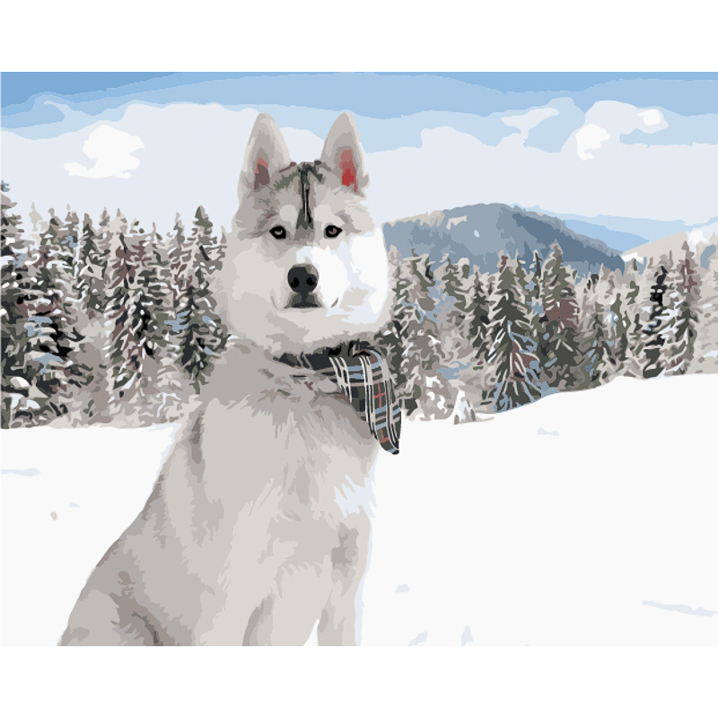 Картина за номерами Strateg ПРЕМІУМ Біла хаскі серед снігу з лаком та з рівнем розміром  40х50 см (GS1574)