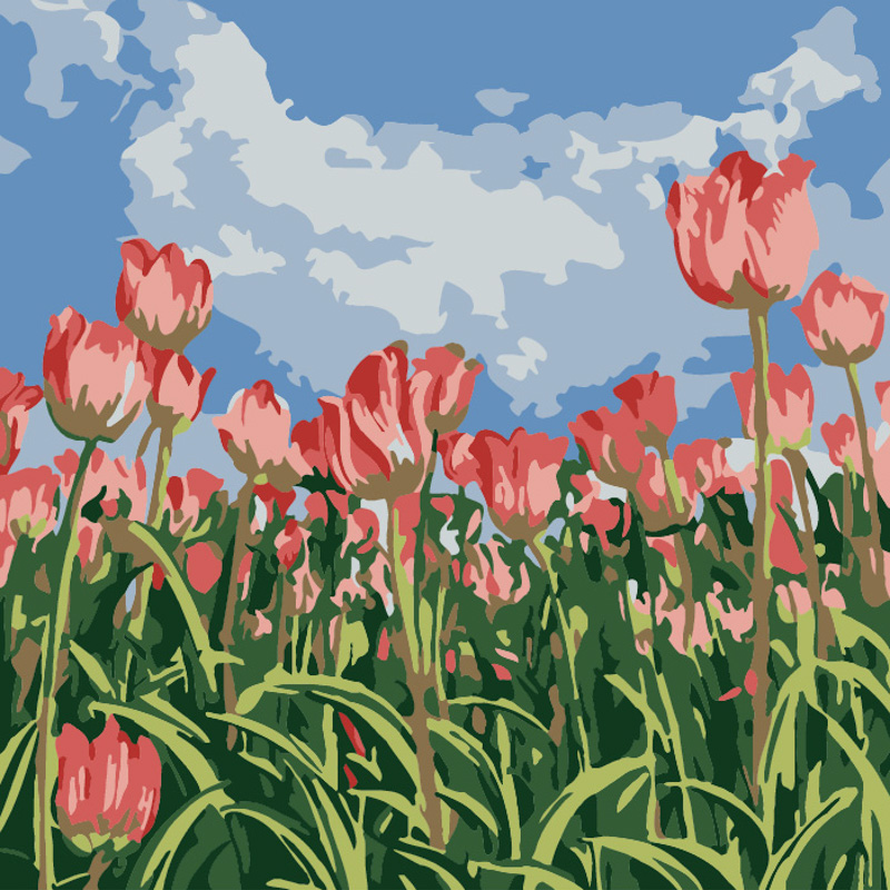 Картина за номерами Strateg Поле тюльпанів розміром 20х20 см (HH5181)