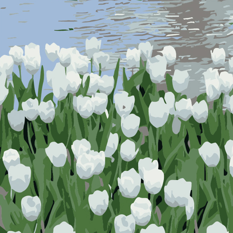 Картина за номерами Strateg Білі тюльпани розміром 20х20 см (HH5908)