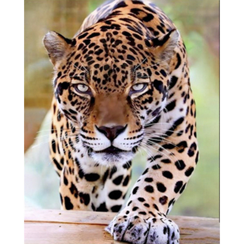 Diamantmosaik Strateg PREMIUM Strict Leopard Größe 40x50 cm (SK85988)