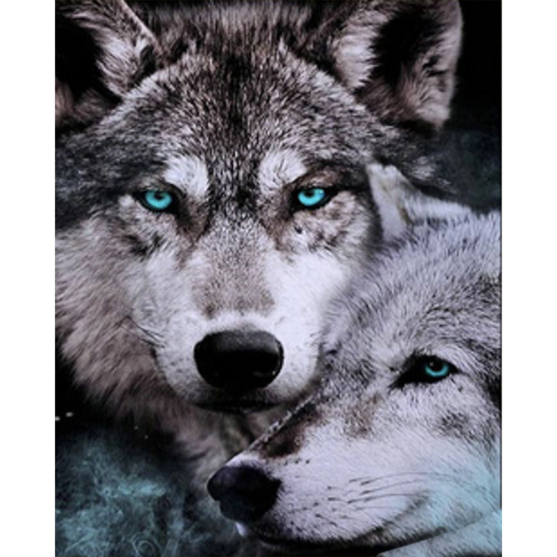 Diamond mosaic Strateg PREMIUM Two wolves 40x50 cm (SK85992)