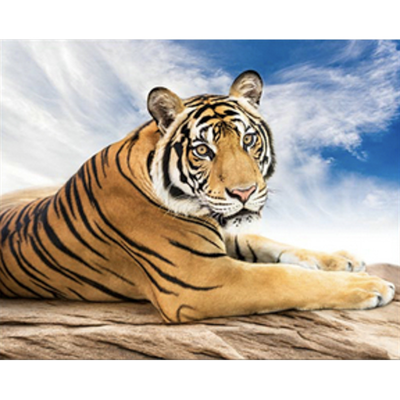Алмазна мозаїка Strateg ПРЕМІУМ Сибірський тигр розміром 40х50 см  (SK86007)