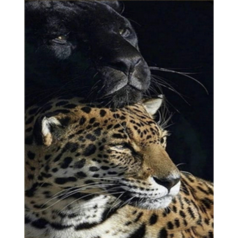Diamantmosaik Strateg PREMIUM Panther und Leopard Größe 30x40 cm (HEG86057)