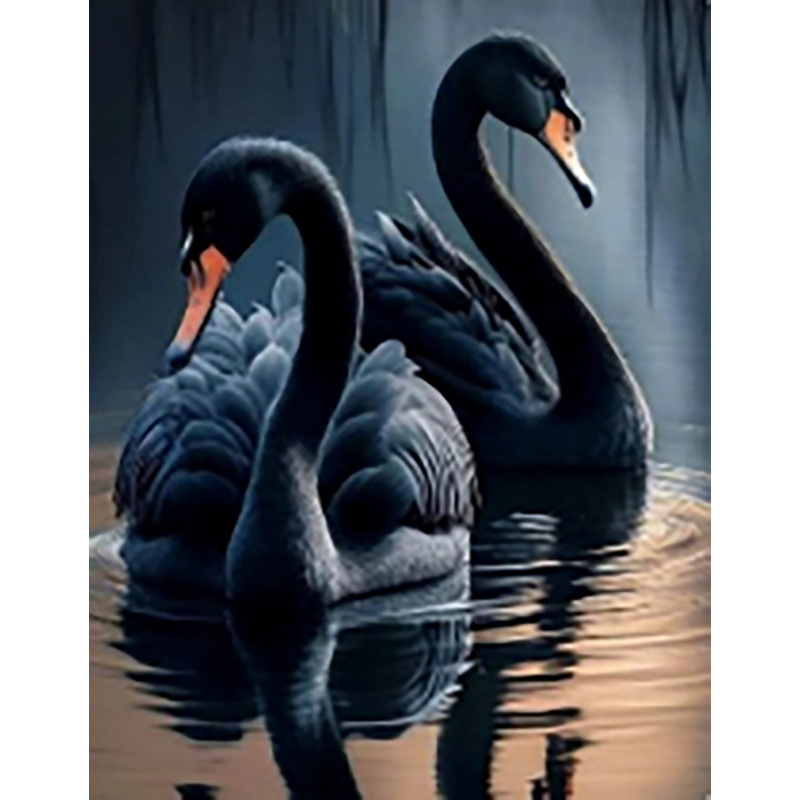 Diamond mosaic Black swans without a subframe 40x50 cm (JSFH85868)