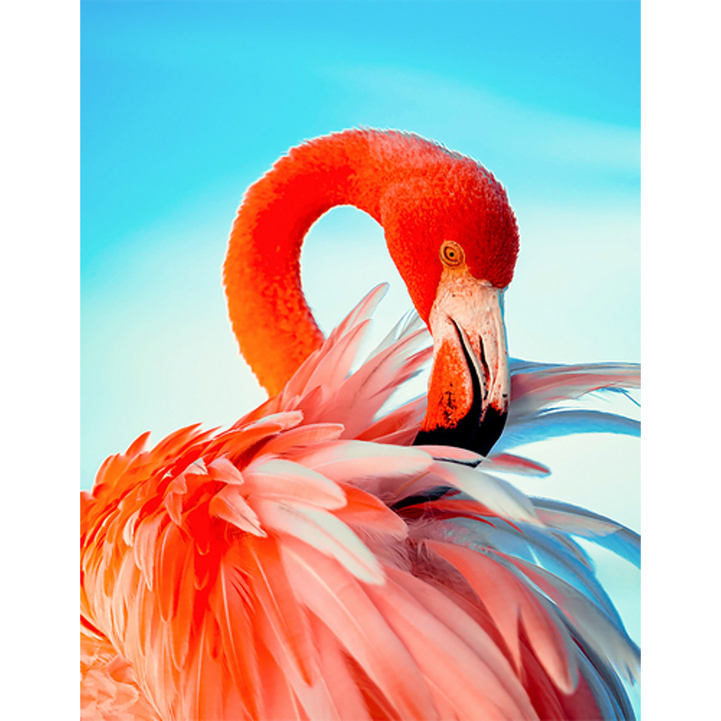 Diamond mosaic Bright pink flamingo without a subframe 40x50 cm (JSFH85873)