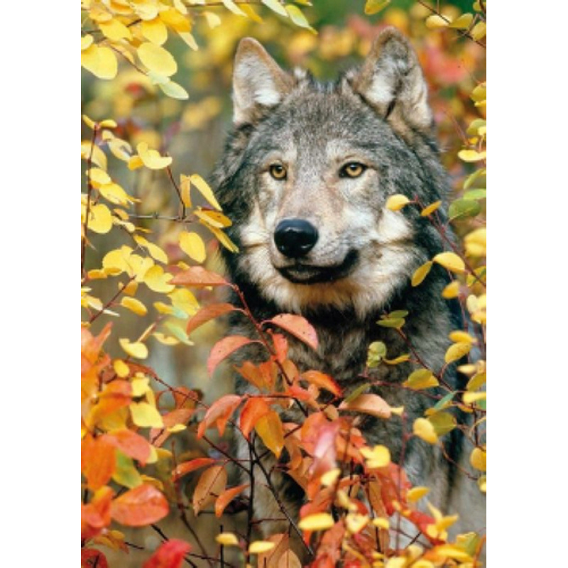 Алмазная мозаика Strateg ПРЕМИУМ Волк в лесу без подрамника размером 30х40 см (GD86088)