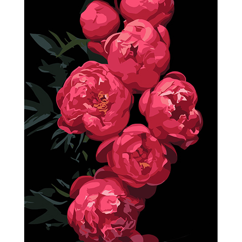 Painting by numbers Strateg PREMIUM Pink Peonies on a black background 40x50 cm (AH1035)