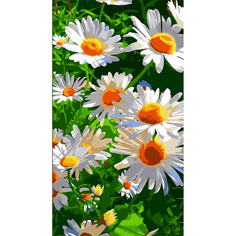 Painting by numbers Strateg Snow-white daisies, 50x25 cm (WW170)