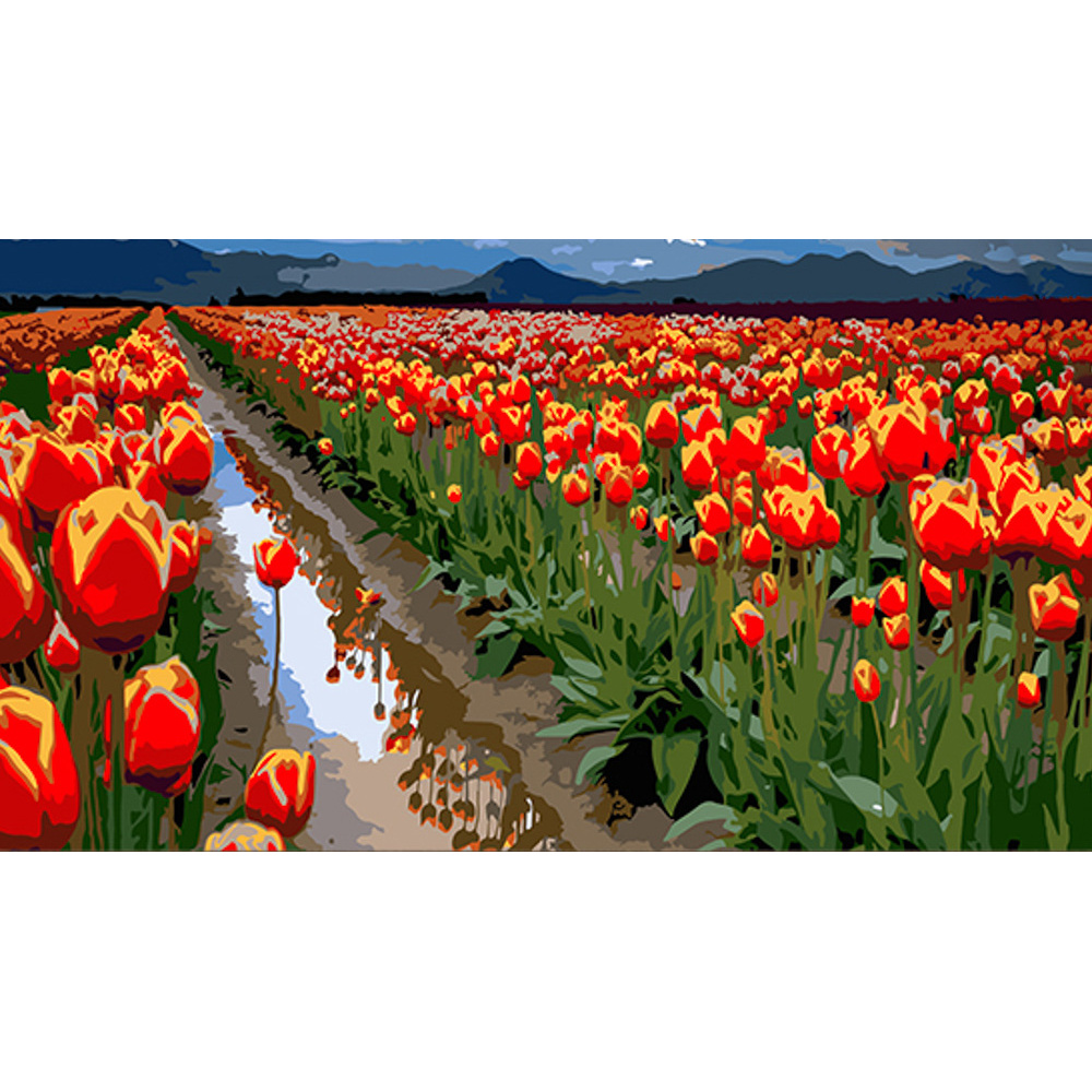 Painting by numbers Strateg Sea of tulips 50x25 cm (WW173)