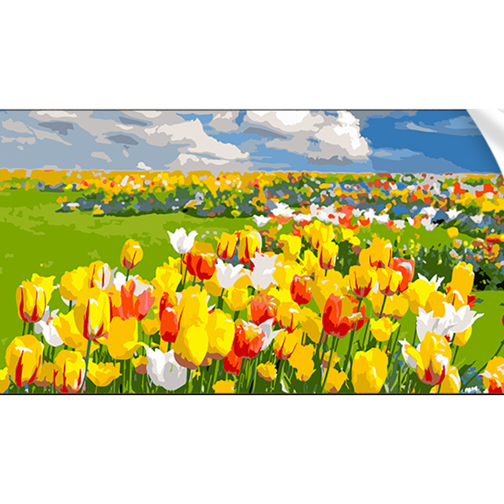 Painting by numbers Strateg Field of tulips 50x25 cm (WW176)