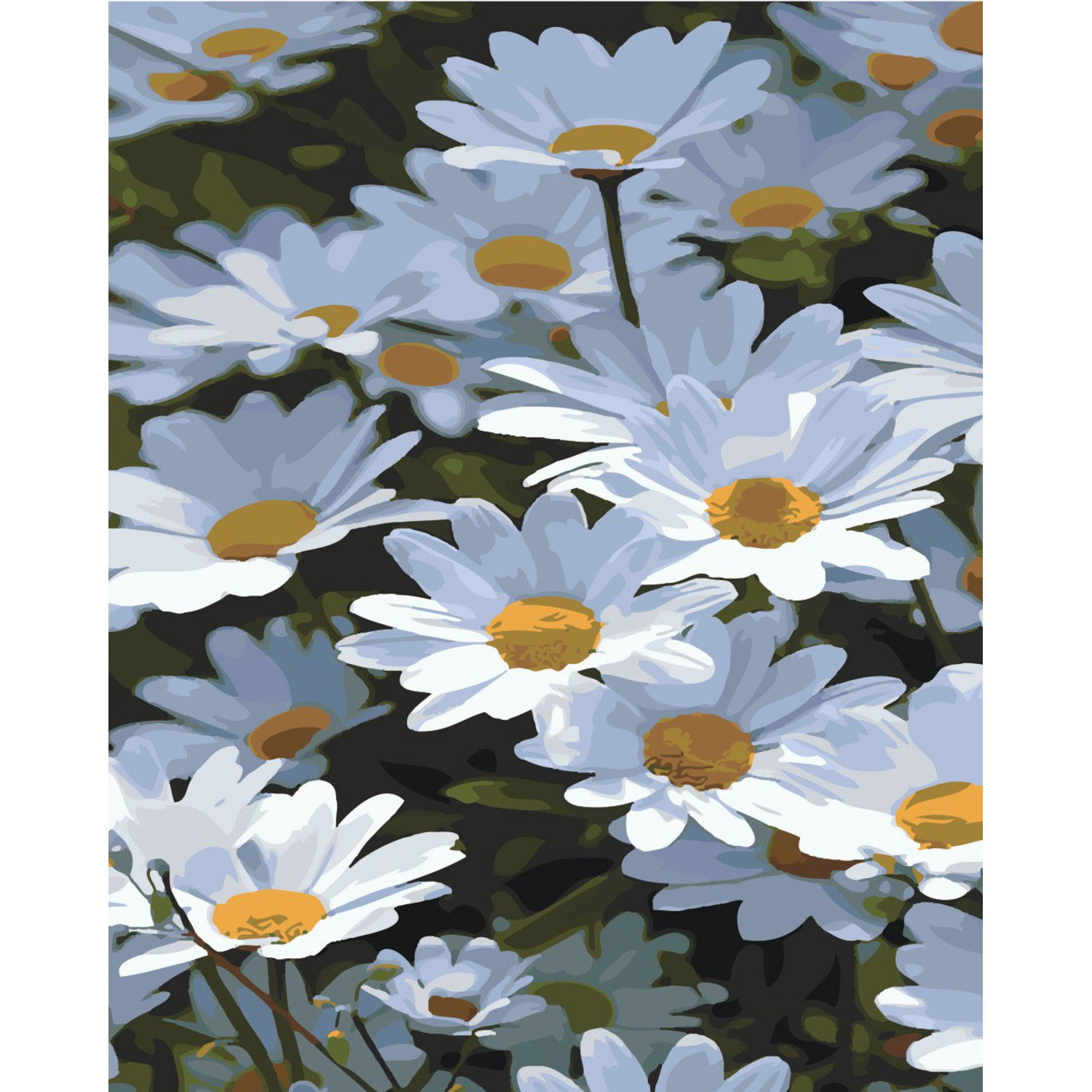 Malen nach Zahlen Strateg Sommergänseblümchen auf farbigem Hintergrund, Größe 40x50 cm (SY6420)