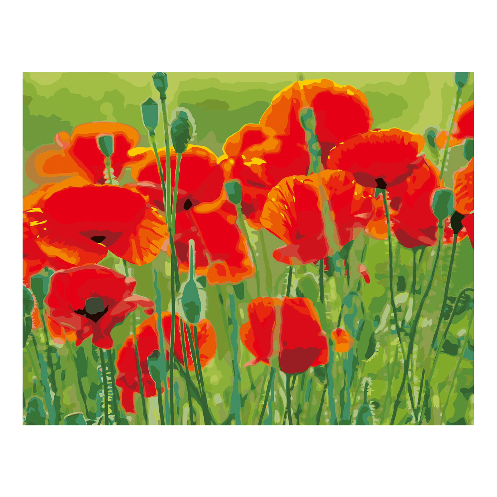 Malen nach Zahlen Strateg Mohnblumen in einem Feld auf farbigem Hintergrund, Größe 40x50 cm (VA-2660)