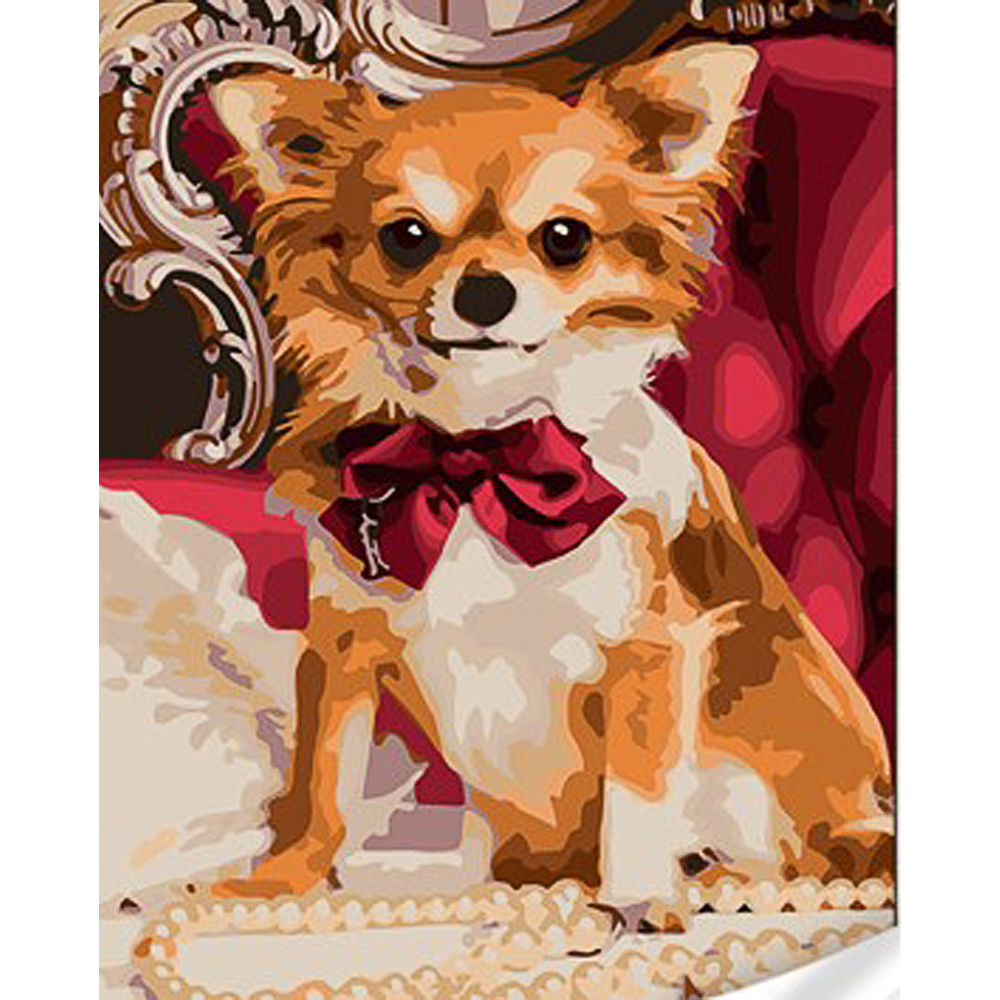 Paint by number Strateg PREMIUM Small Chihuahua with varnish and level 30x40 cm (SS1058)