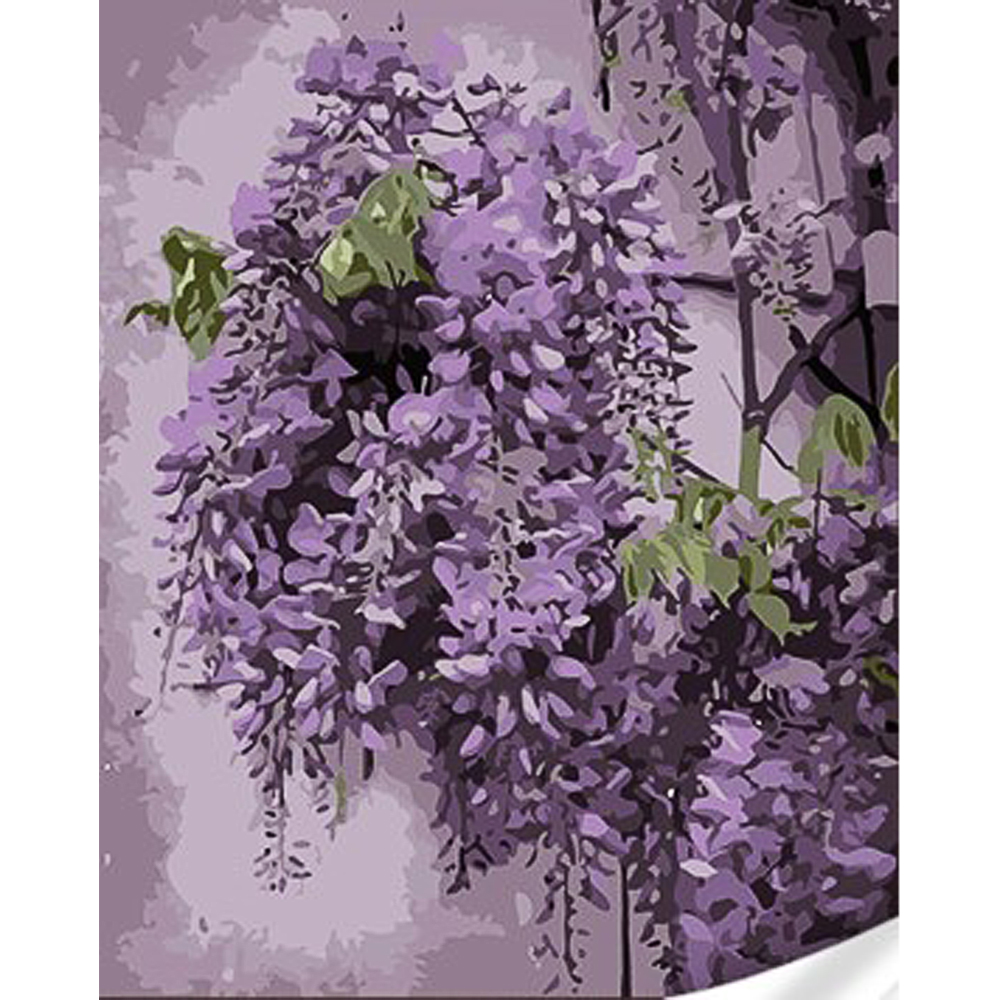 Paint by number Strateg PREMIUM Delicate wisteria with varnish and level 30x40 cm (SS1082)