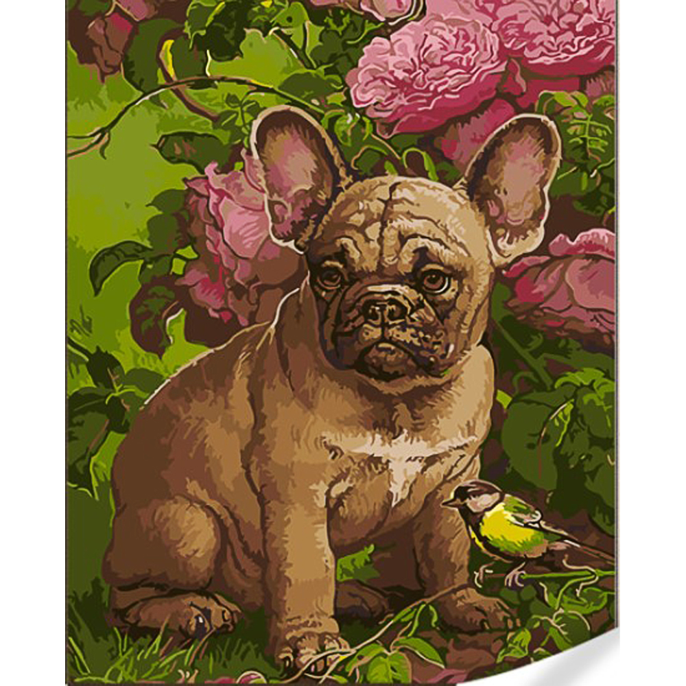Paint by number Strateg French bulldog on a colored background size 40x50 (GS1595)