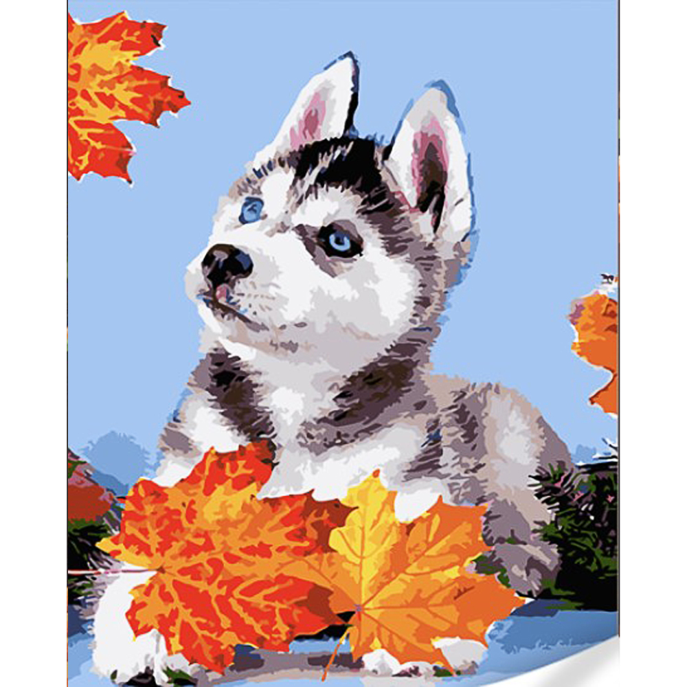 Malen nach Zahlen Strateg Husky in Blättern auf farbigem Hintergrund, Größe 40x50 (GS1628)