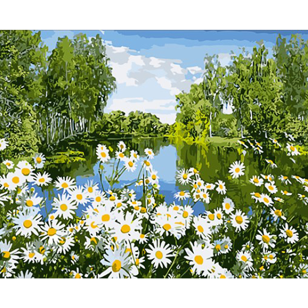 Malen nach Zahlen Strateg Gänseblümchen am Flussufer auf farbigem Hintergrund Größe 40x50 (GS1631)