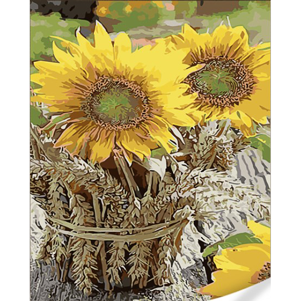 Paint by number Strateg Bouquet of sunflowers on a colored background size 40x50 (GS1632)