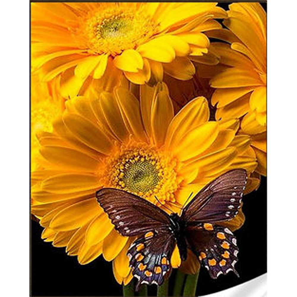 Diamantmosaik Strateg PREMIUM Schmetterling auf Sonnenblume Größe 30x40 cm (HEG86117)