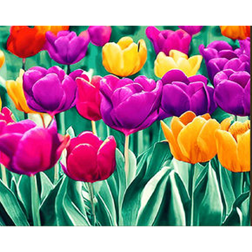 Diamond mosaic Strateg PREMIUM Tulips pop art size 30x40 cm (GM86842)