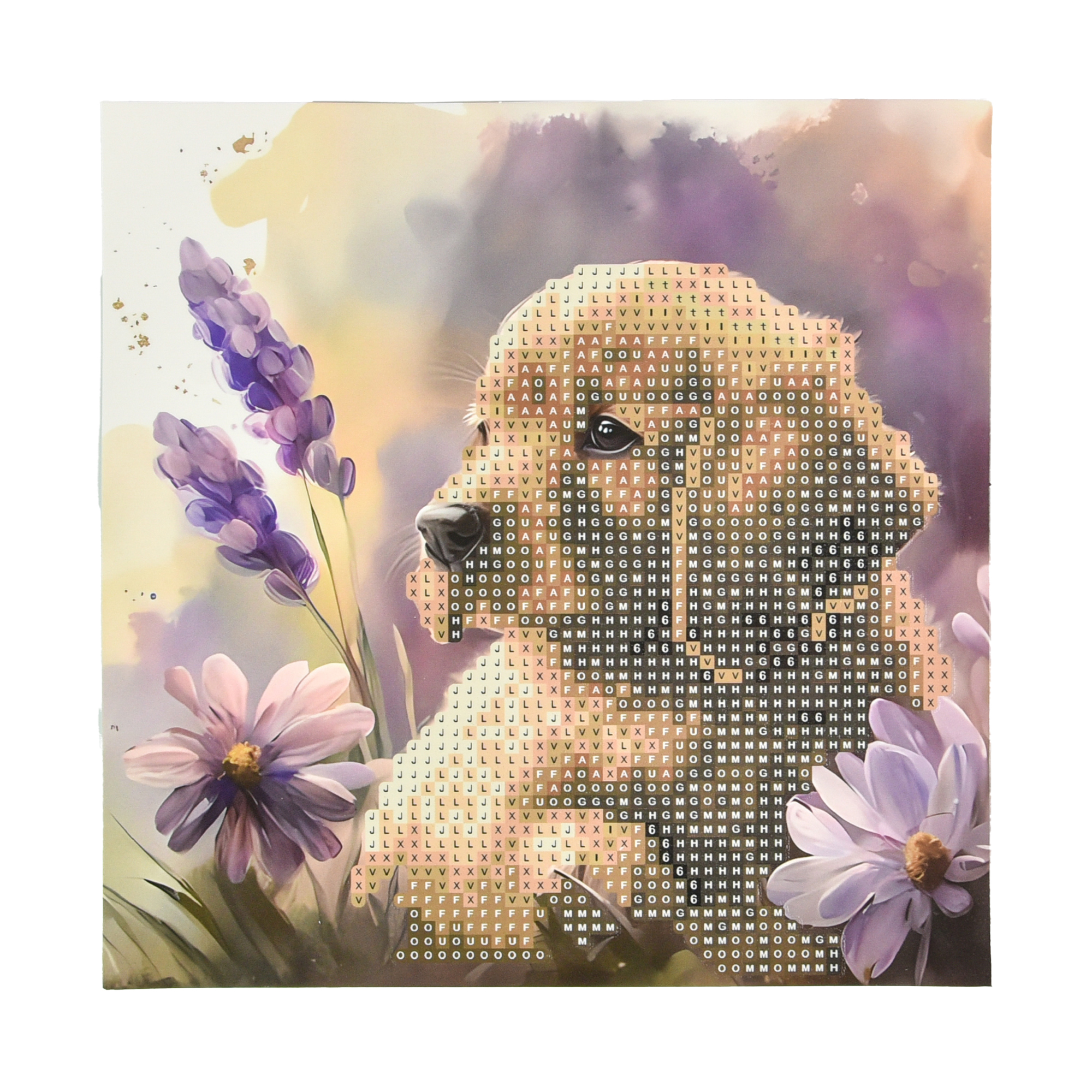 Diamond mosaic Strateg PREMIUM Golden retriever puppy on paper size 18x18 cm (JUB14398)