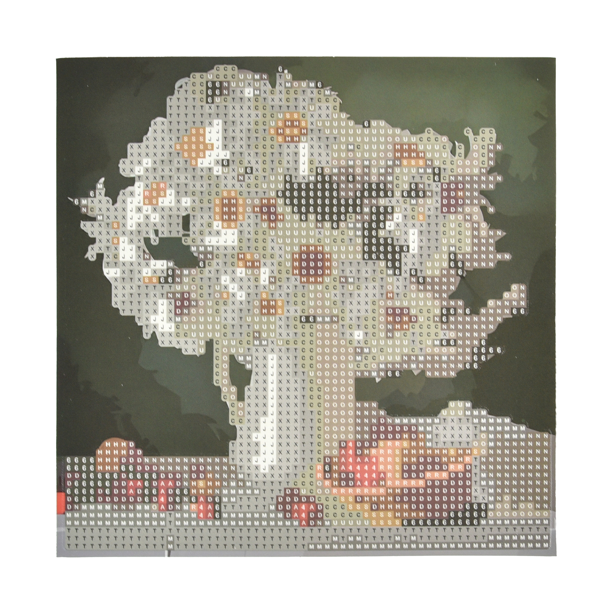 Diamond mosaic Strateg PREMIUM White daisies on a paper base size 18x18 cm (JUB14405)