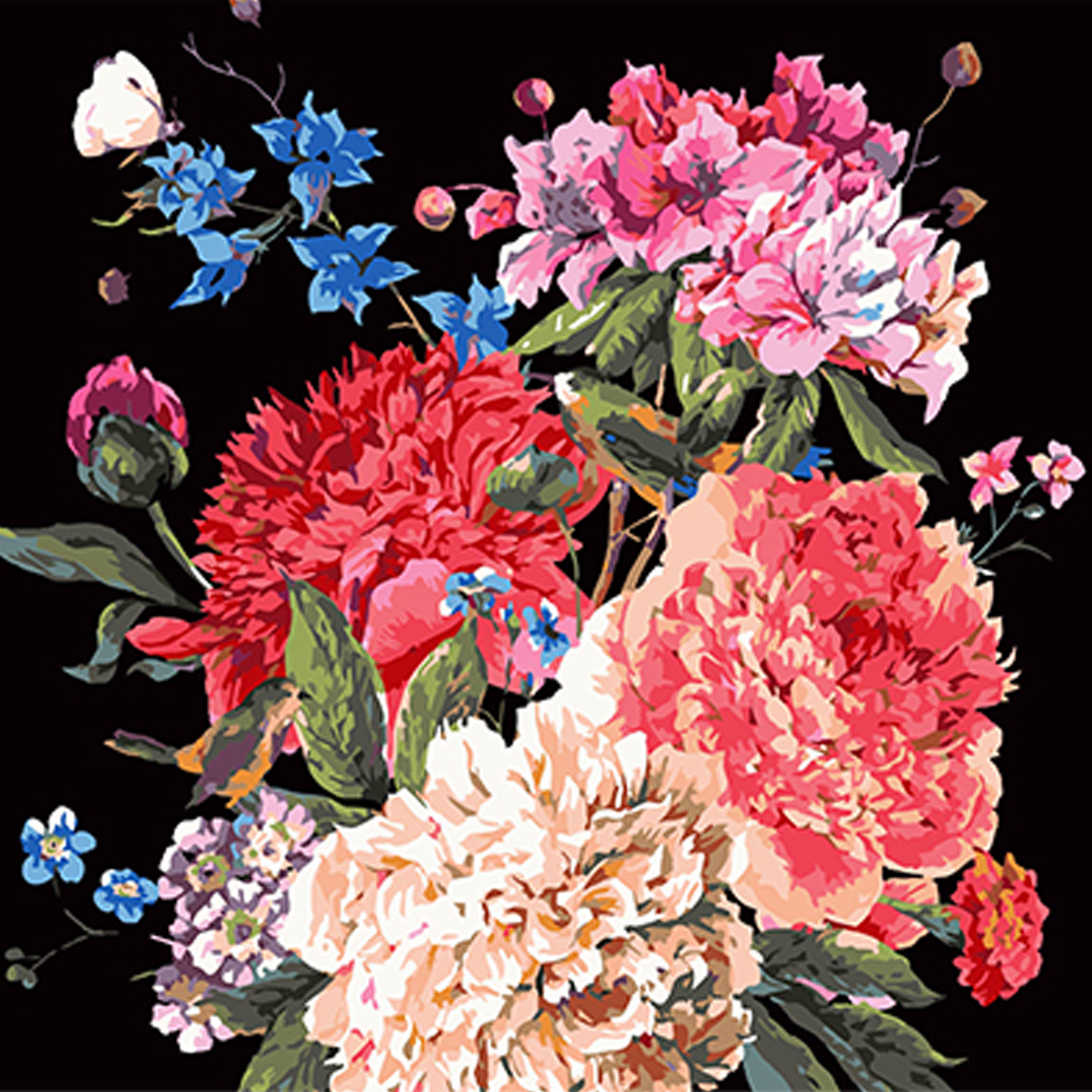 Malen nach Zahlen Strateg PREMIUM Blumenharmonie auf schwarzem Hintergrund, Größe 40x40 cm (AV4040-26)