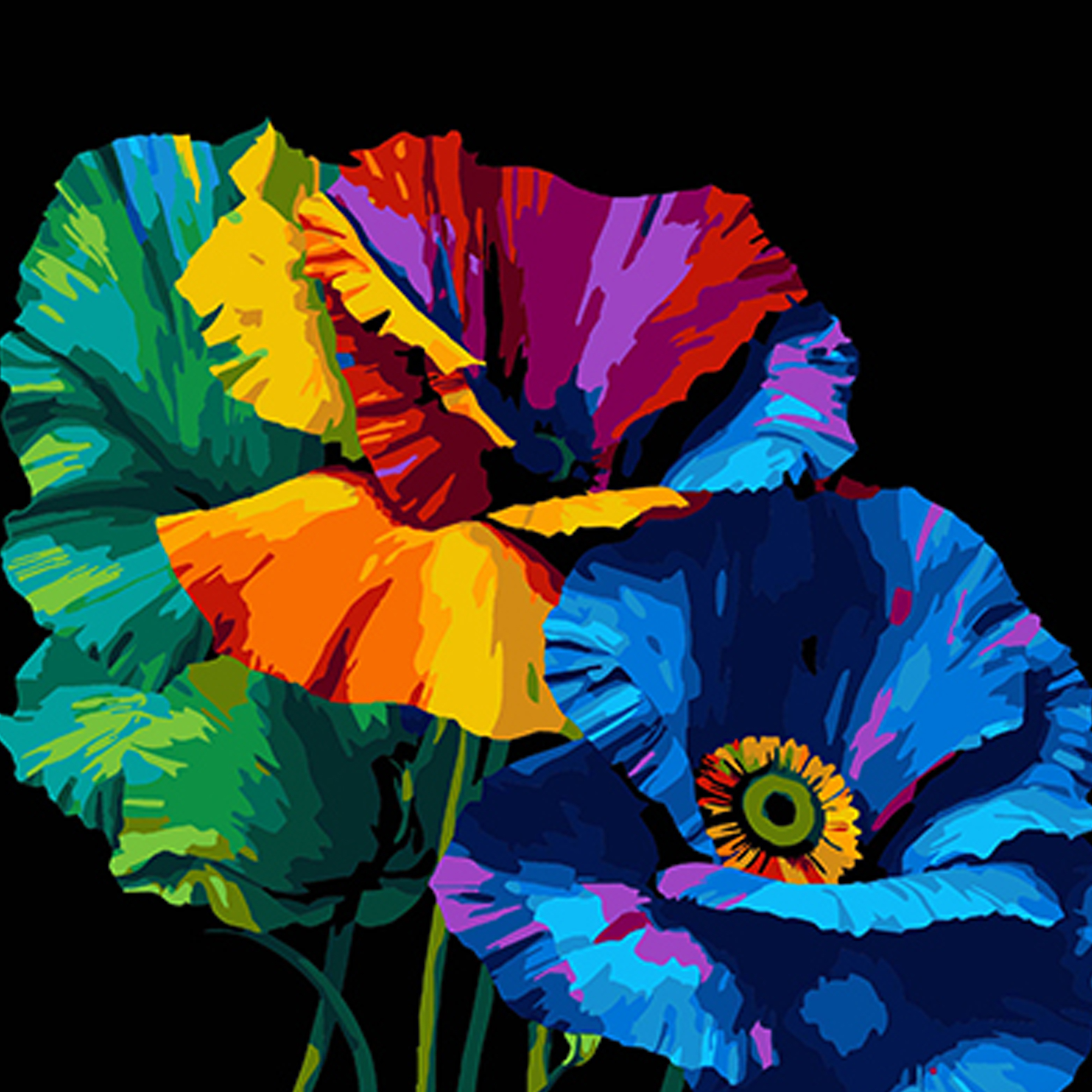 Paint by number Strateg PREMIUM Rainbow of poppies on a black background size 40x40 cm (AV4040-77)