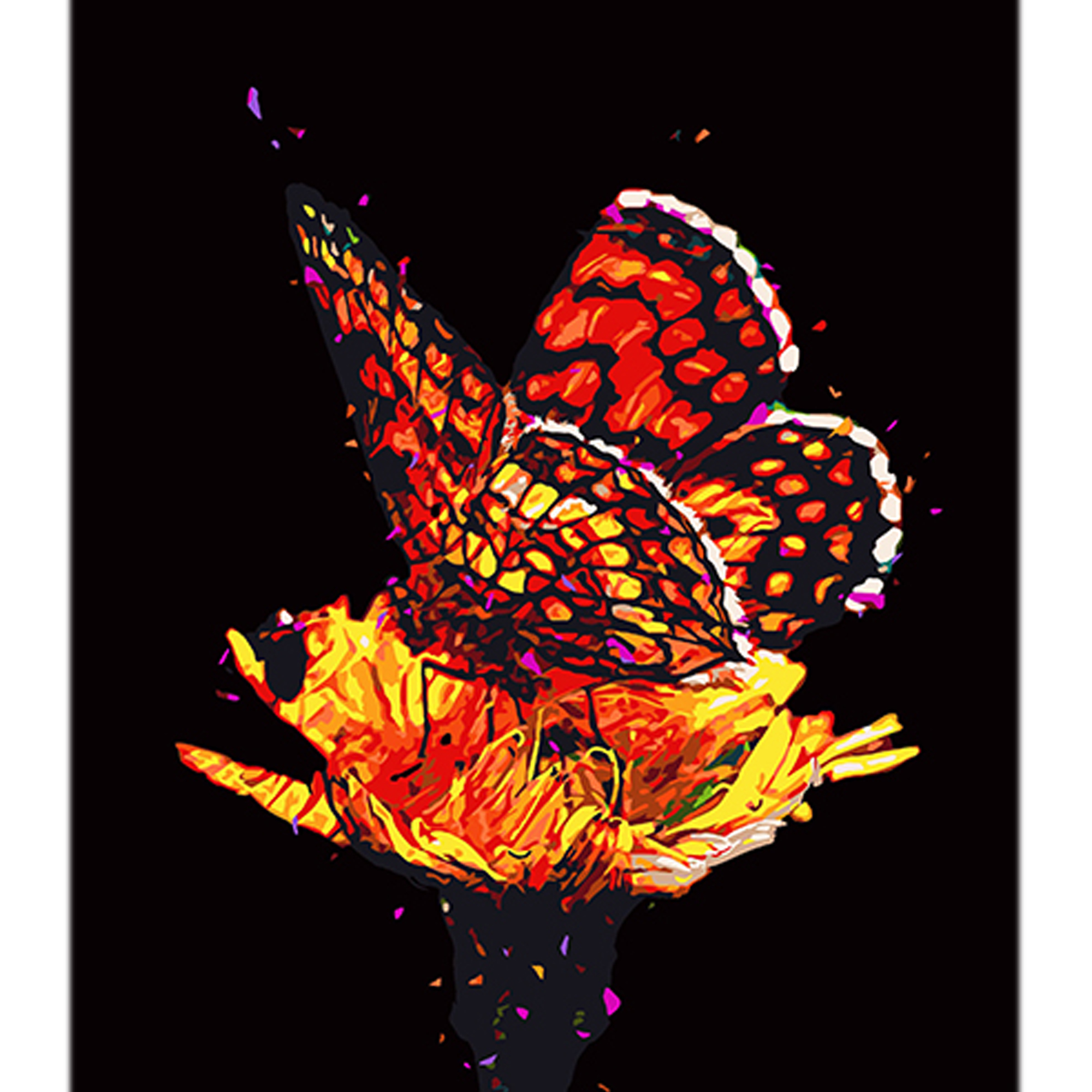 Paint by number Strateg Fire butterfly on a flower on a black background size 40x50 cm (AH1098)