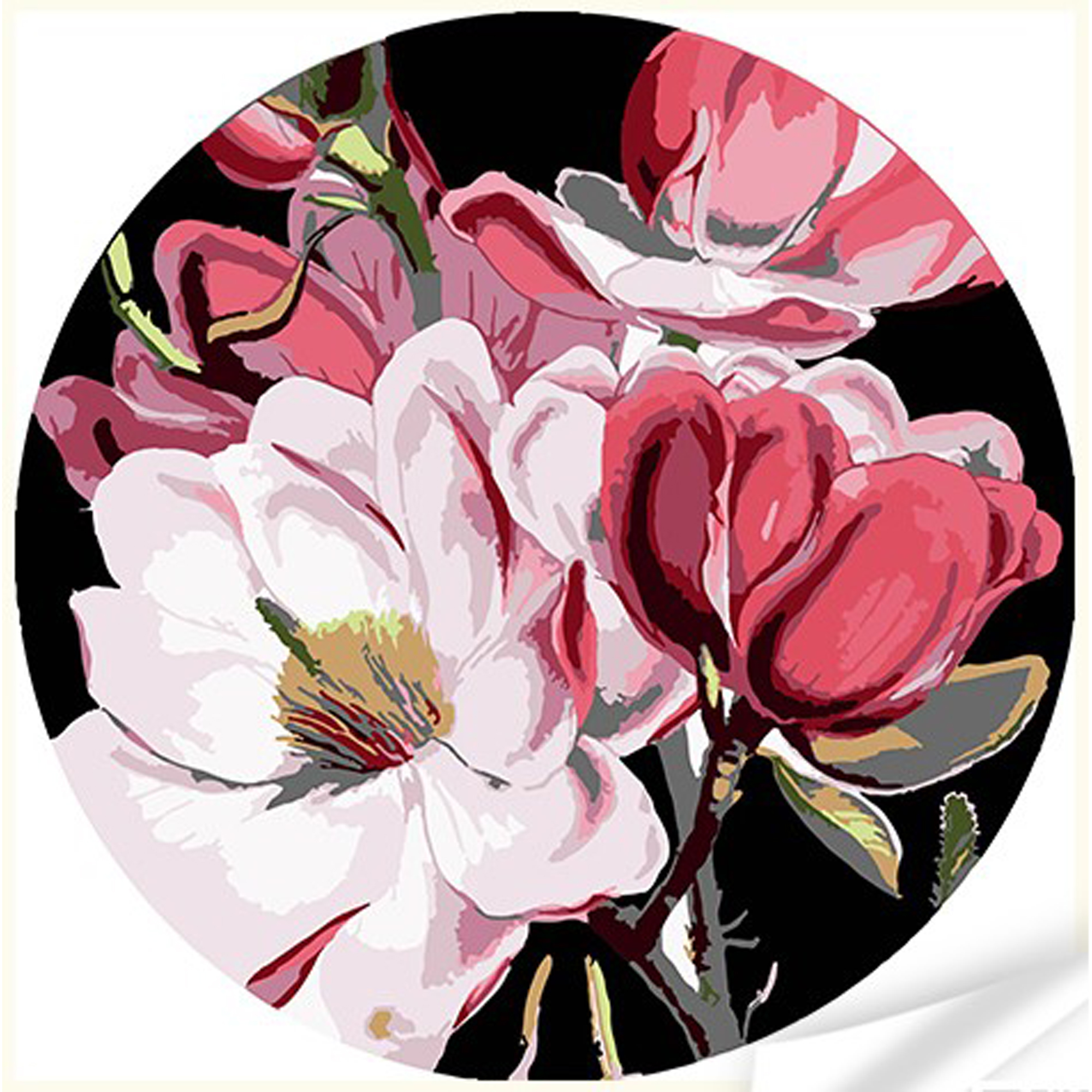 Vinyl by numbers Strateg PREMIUM Tenderness of magnolia size 30x30 cm (GP-5)