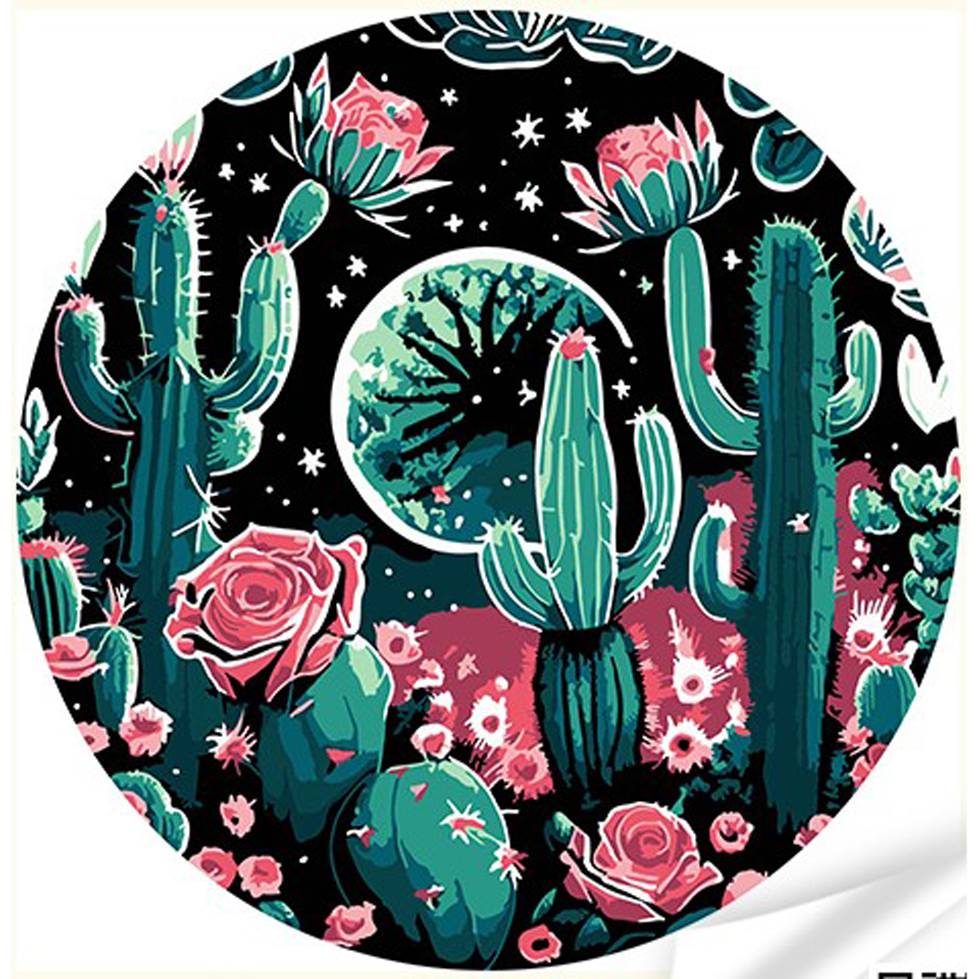 Vinyl by numbers Strateg PREMIUM Cacti in bloom under the night sky size 30x30 cm (GP-10)